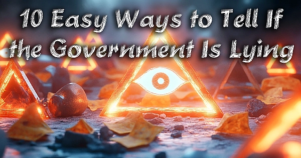 10 Easy Ways to Tell If the Government Is Lying (Hint: They Always Are)