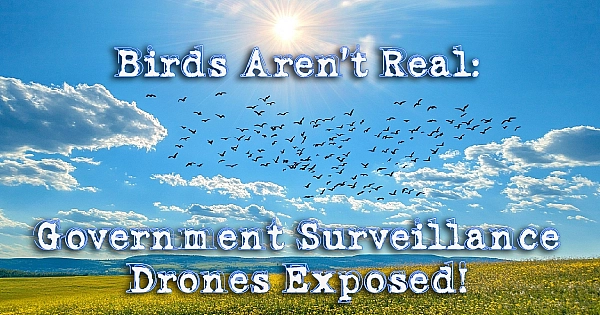 Birds Are Not Real: Government Surveillance Drones Exposed!